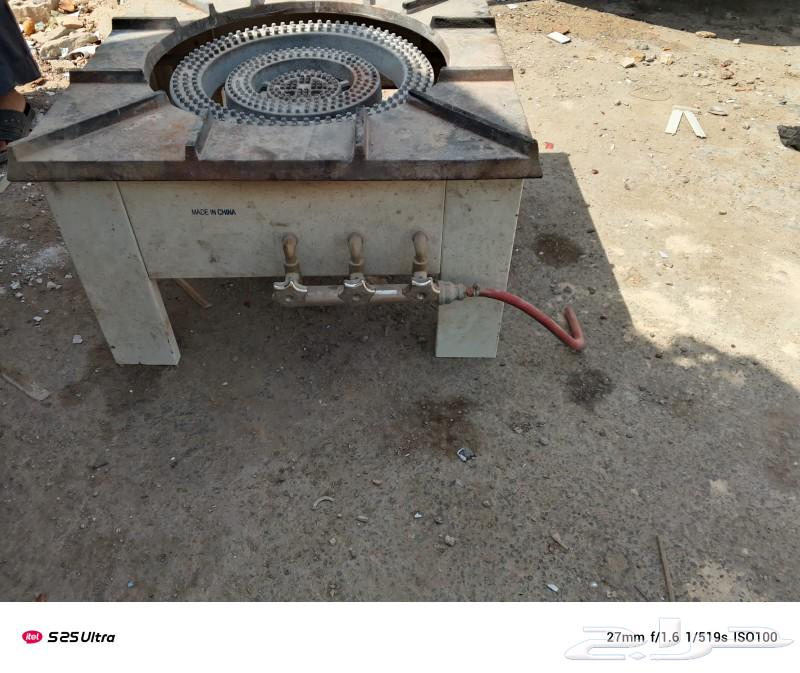 Shala 3 Haba64590765103618110