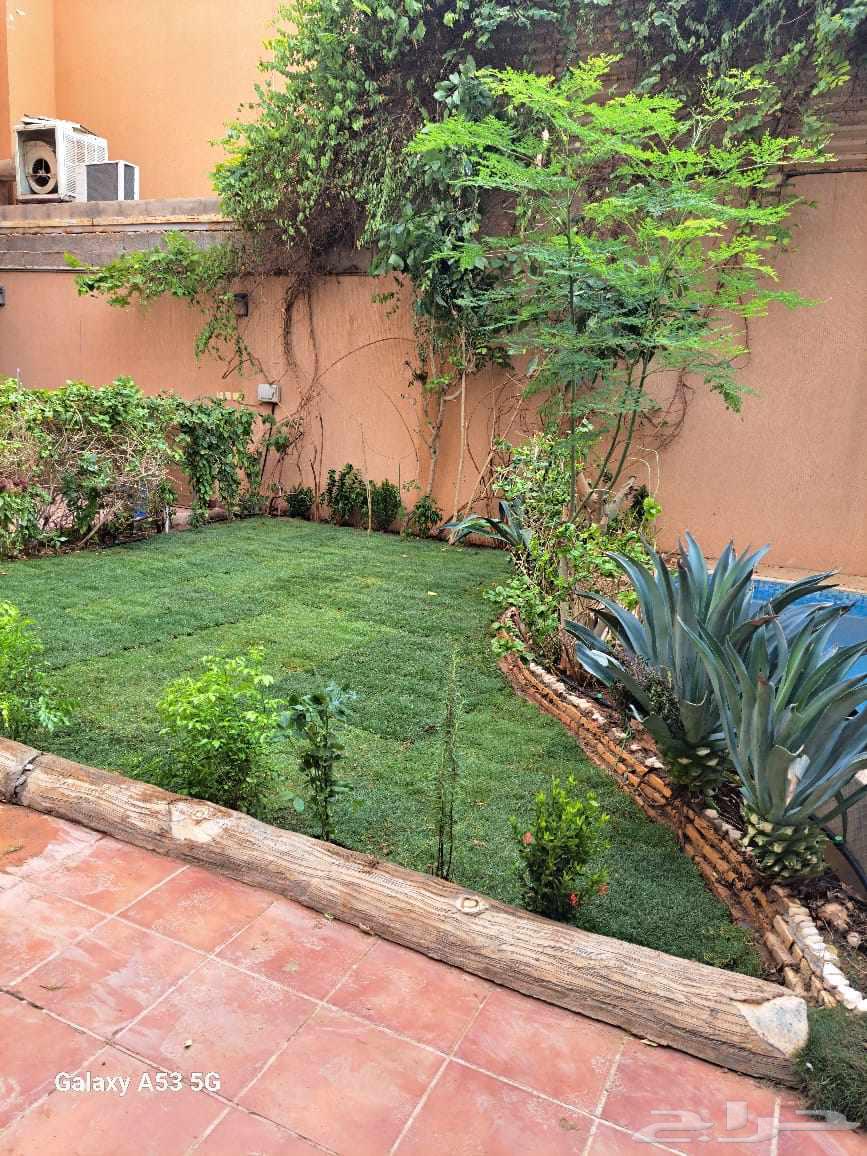 تيل طبيعي وشبكات ري64588955523714114