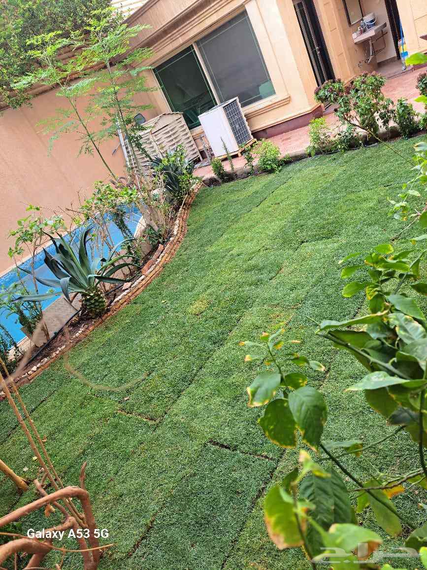 تيل طبيعي وشبكات ري64588955523714113