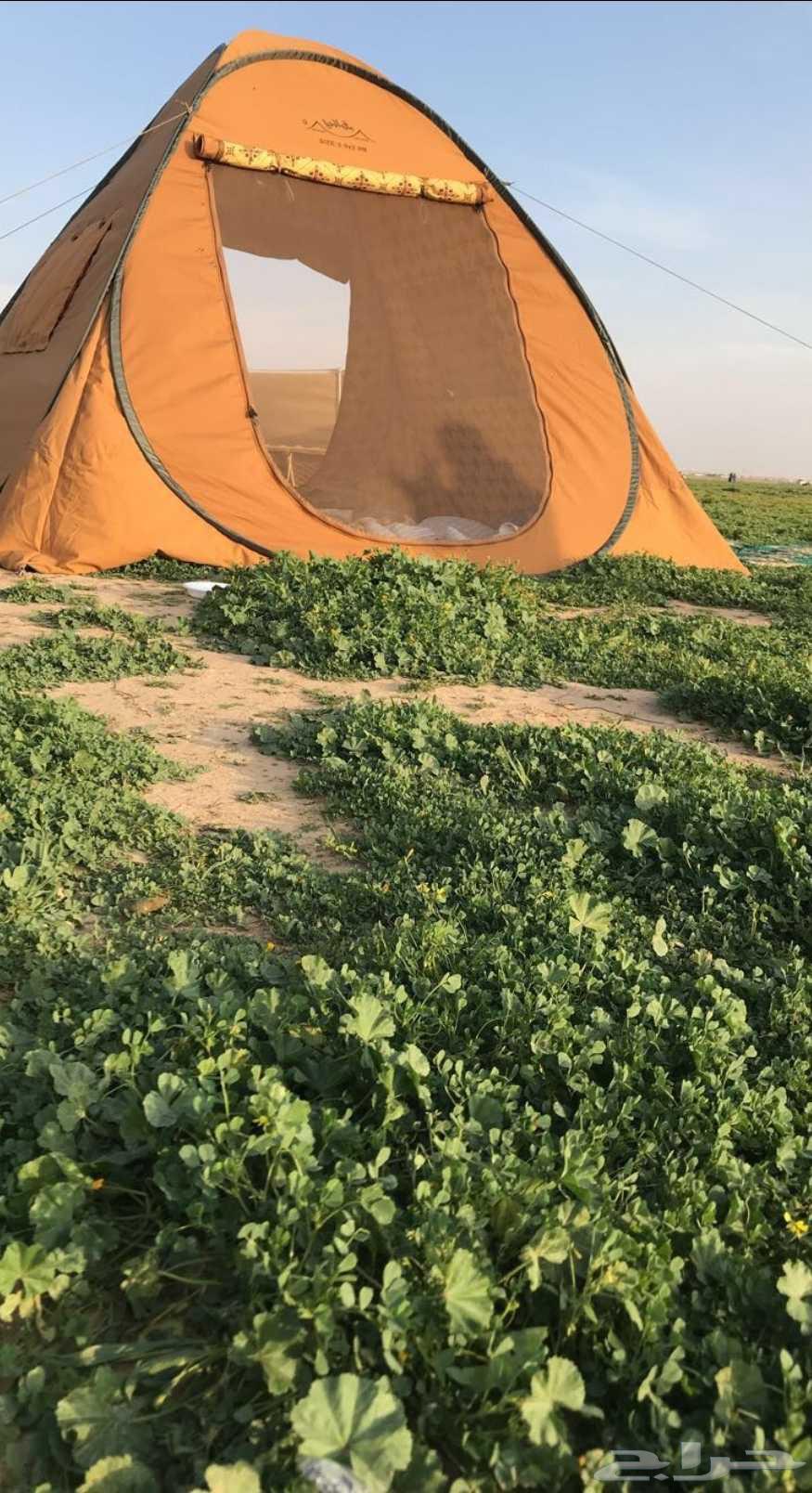 خيمة البرق من برق الحيا64591032423042110