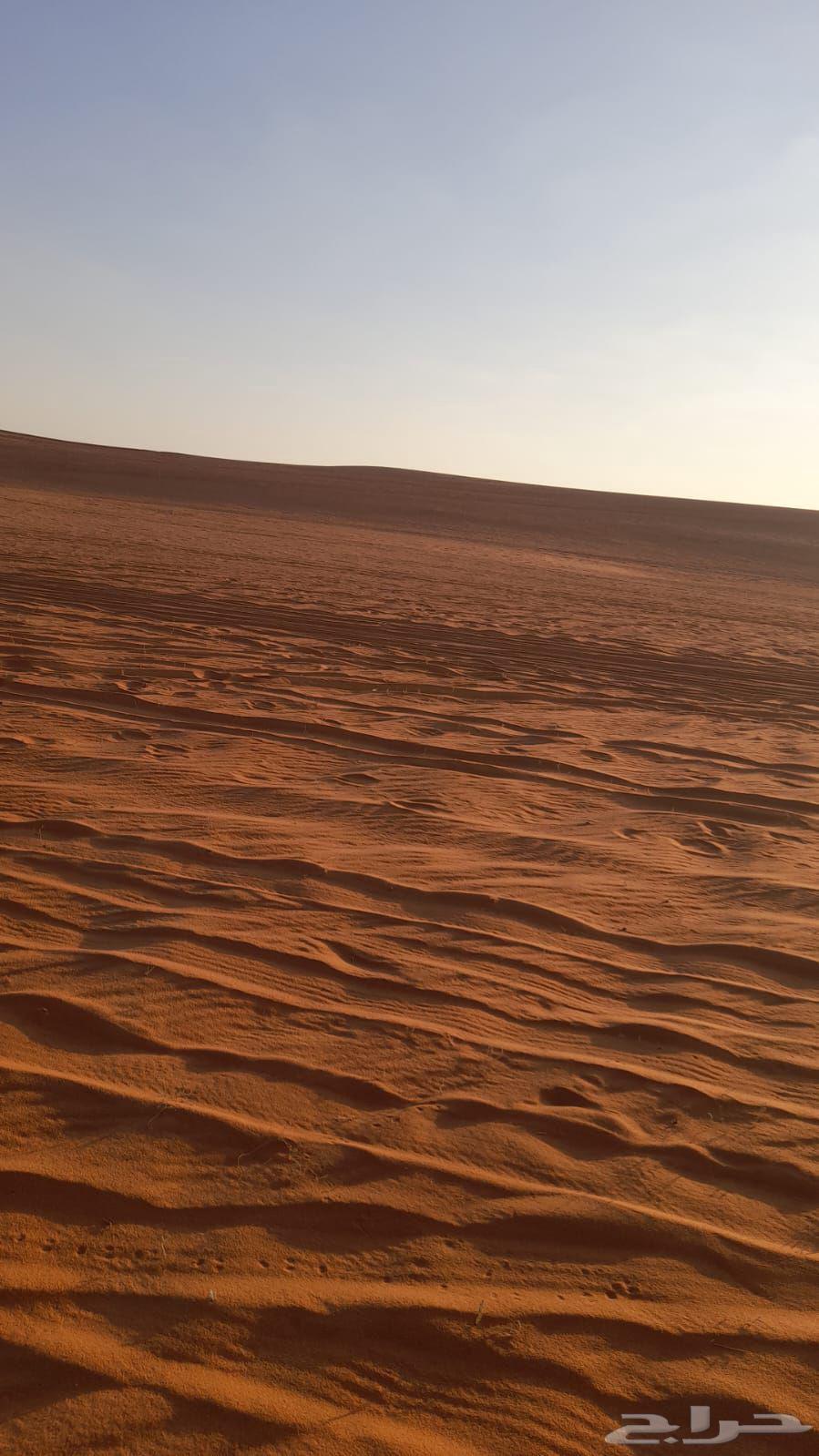 مخيم للبيع في نفوذ الحسي64588457858819110