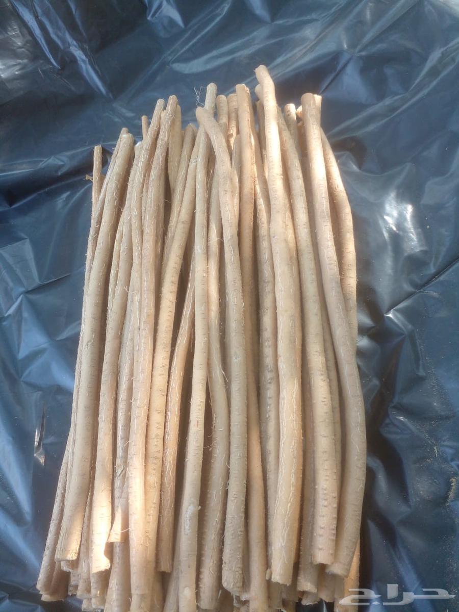 يوجد مسواك ابوحنش64595010131841111