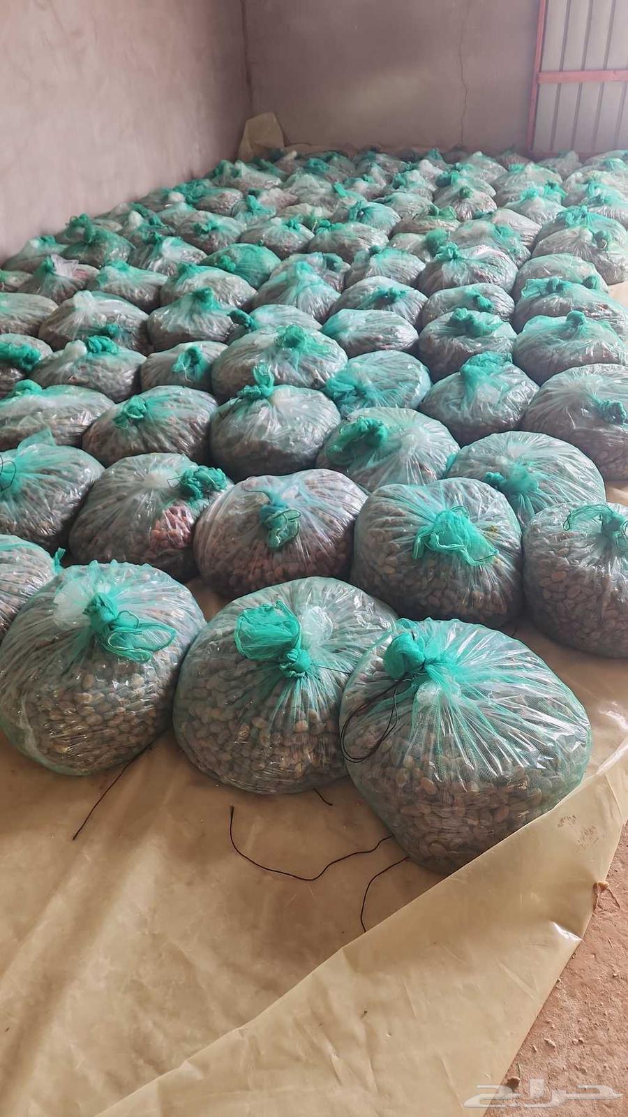 تمر خلاص للبيع64598819362305111