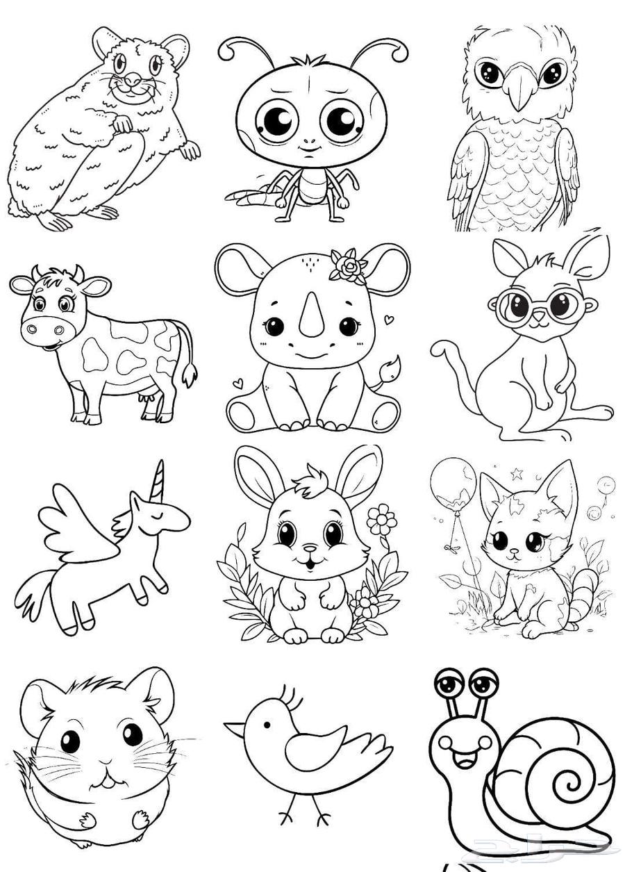 دفتر تلوين و كتاب الحروف الانجليزية64598831701890110