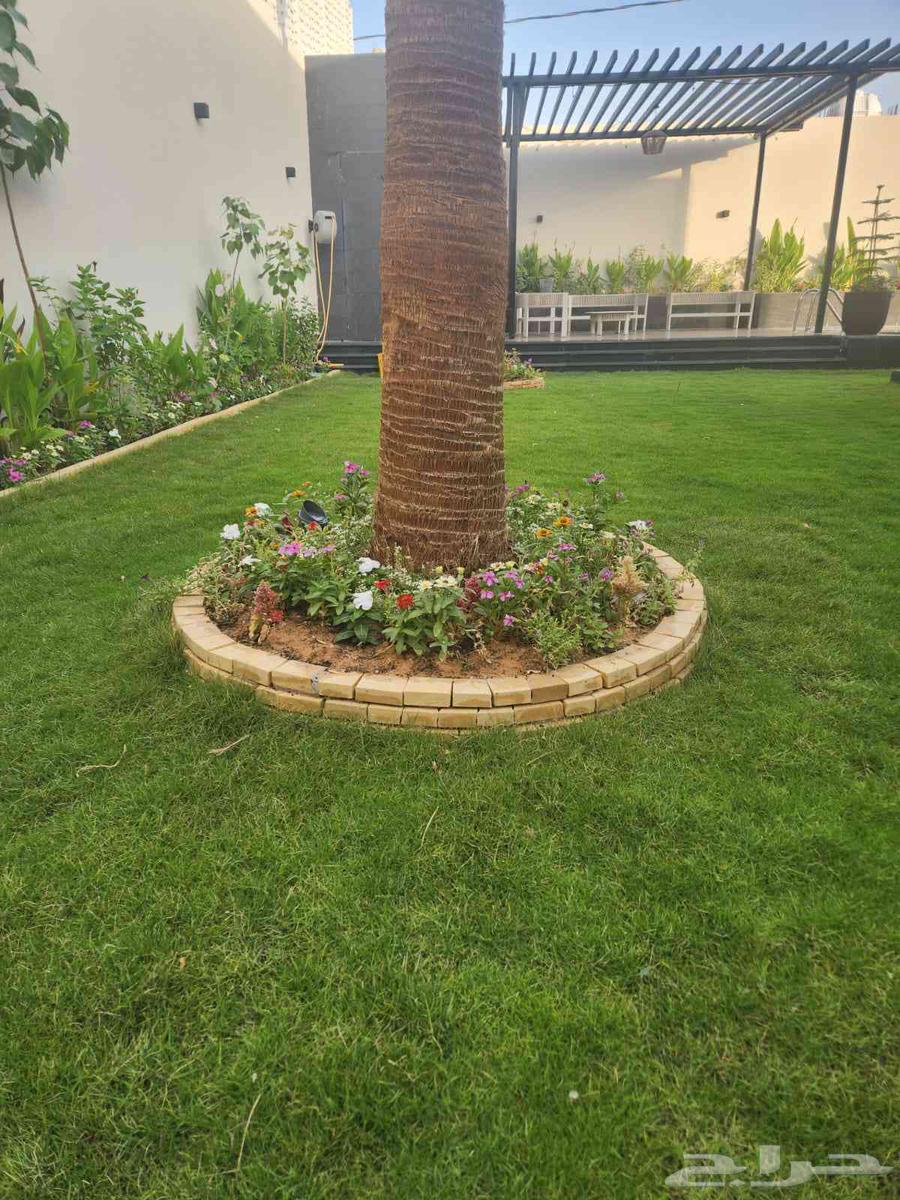 تركيب التيل الطبيعي64158157640835110