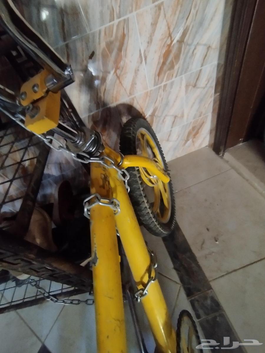 سيكل مقاس 20 كوبرة64596649158529113