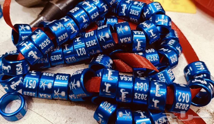 تخفيض لفترة محدودة حجول الحمام و العصافير64596907447041112