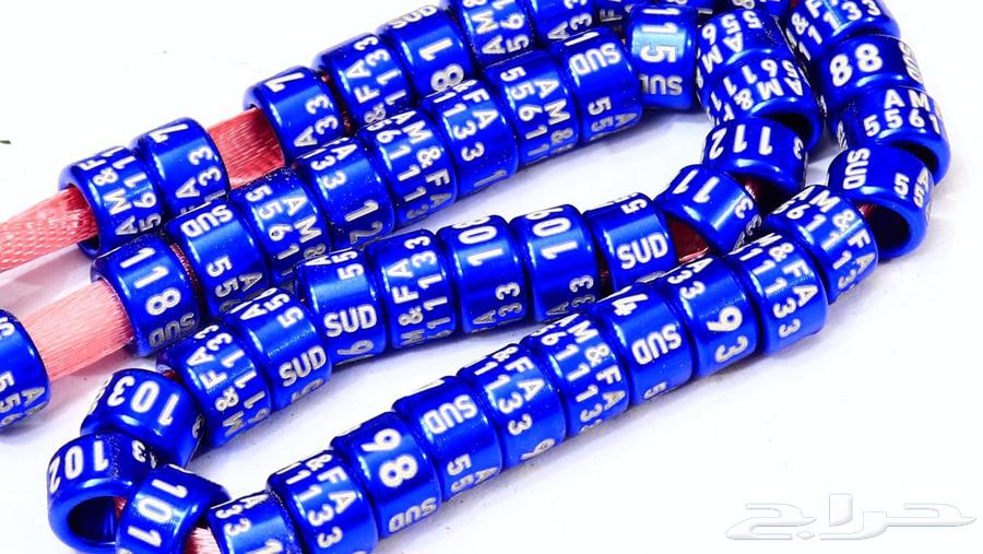 تخفيض لفترة محدودة حجول الحمام و العصافير64596907447041114