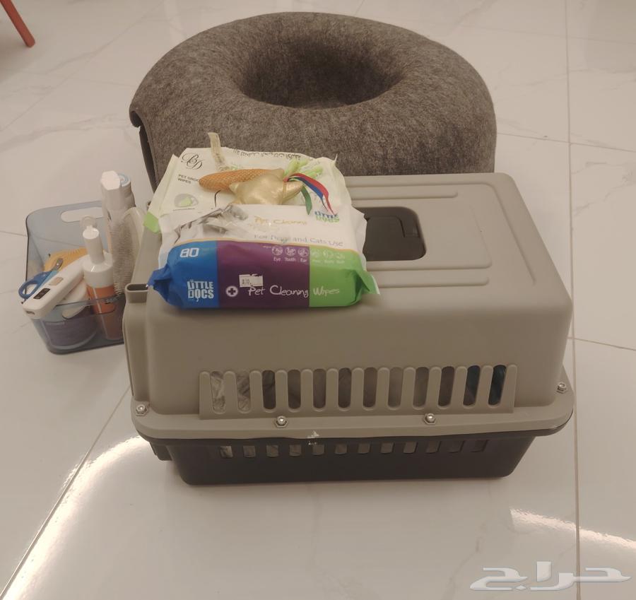 بيع أغراض للقطط الموقع في جده64596563249537113
