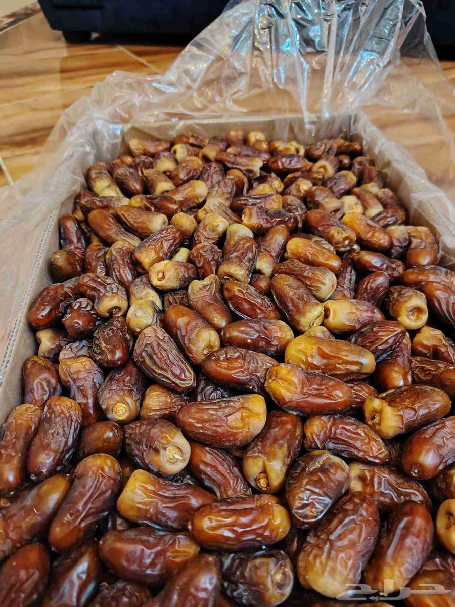 تمر برني العيص الفاخر الملكي سطول صغيره وكراتين64598142499843110