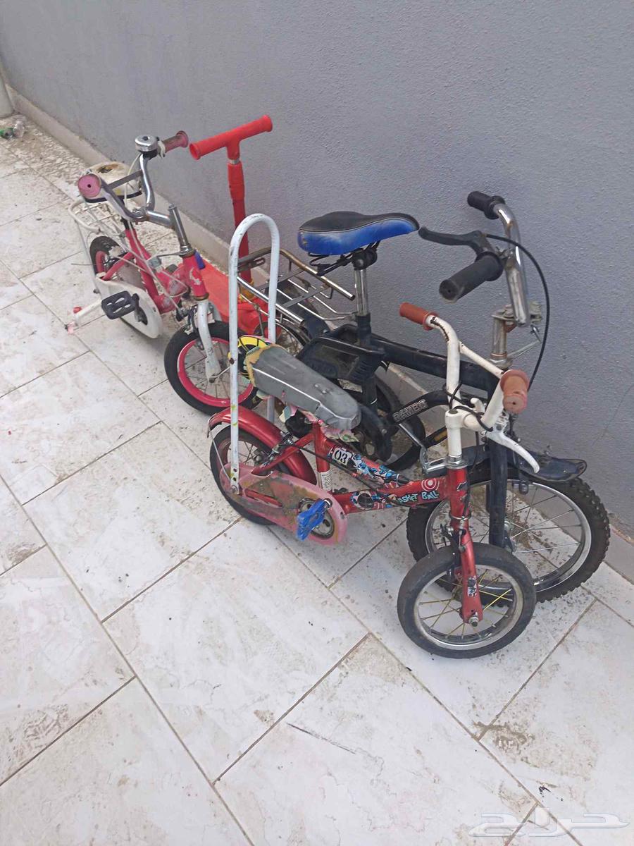 سياكل لي البيع جمله على حالها 120 الكل64597996948354110