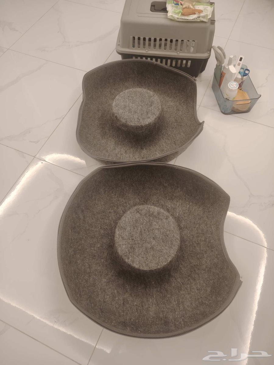 بيع أغراض للقطط الموقع في جده64596563249537114