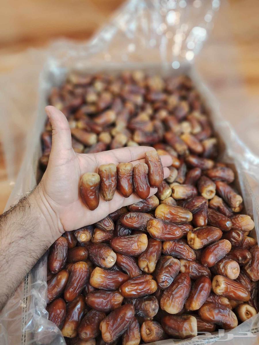 تمر برني العيص الفاخر الملكي سطول صغيره وكراتين64598142499843111