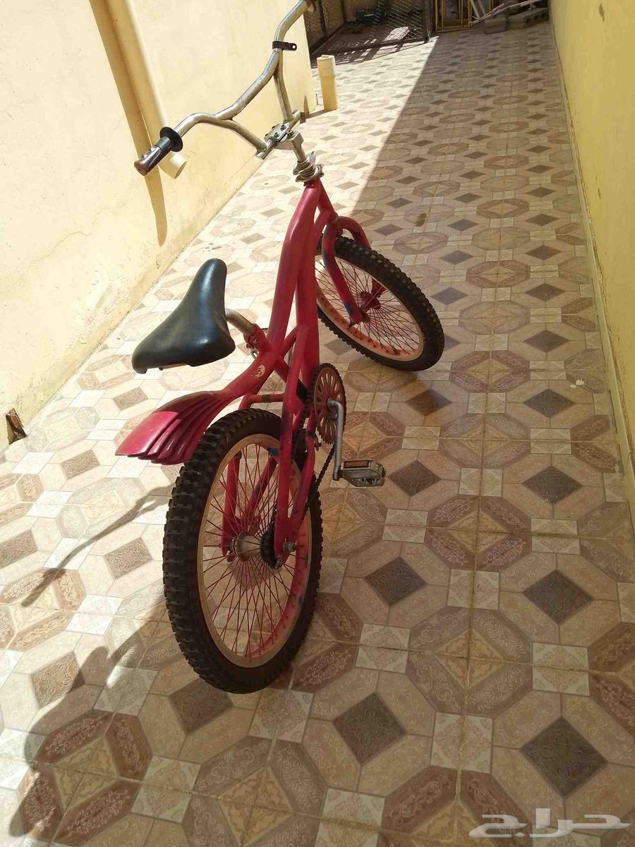 Cyclone Cobra64493660630274114