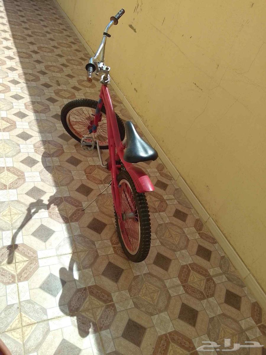 Cyclone Cobra64493660630274113