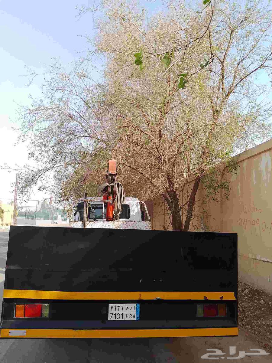 Transport porcelain tiles and all building materials, electrical generators, and64158569092993114