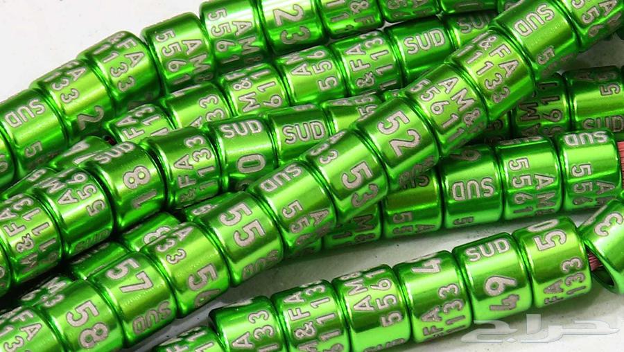 تخفيض لفترة محدودة حجول الحمام و العصافير64596907447041113