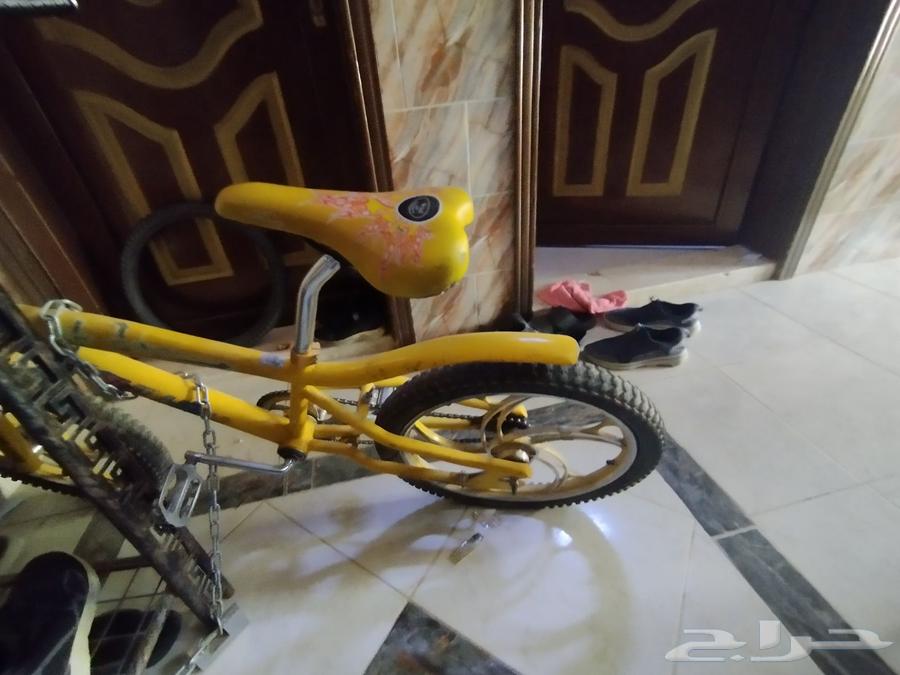 سيكل مقاس 20 كوبرة64596649158529111