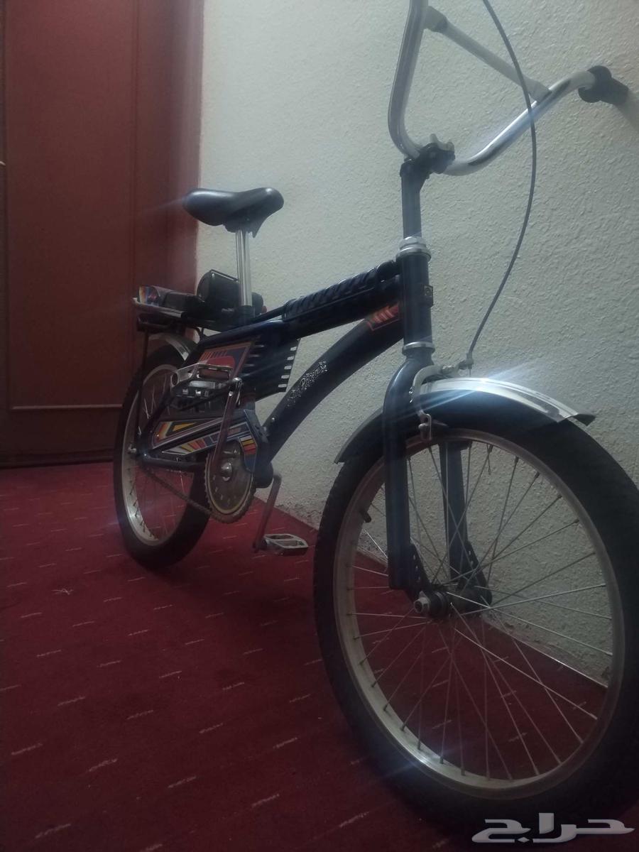 اعرض لكم دراجه رامبو مقاص 20 اندنوسي اصلي لون ازرق غامك64597323731841112
