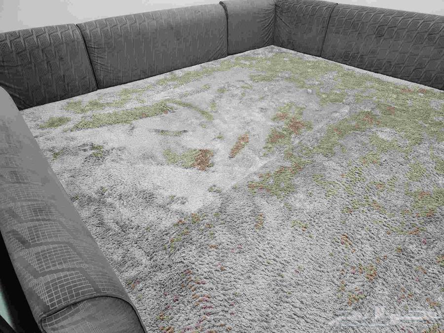 ثريا وكنب ومجلس64597163574145112