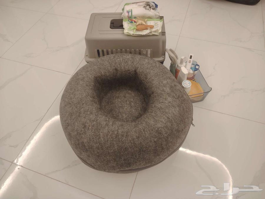 بيع أغراض للقطط الموقع في جده64596563249537112