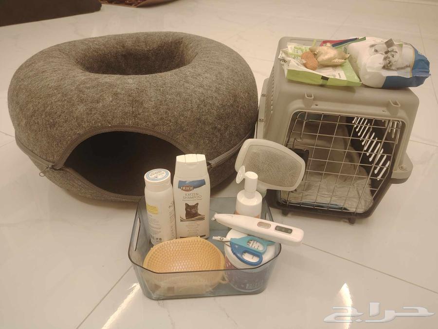 بيع أغراض للقطط الموقع في جده64596563249537110