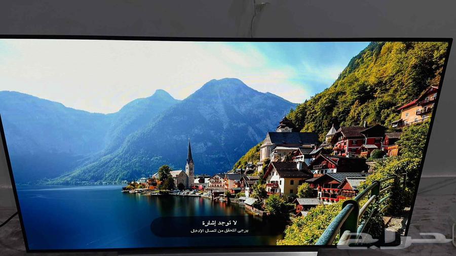 LG OLED Screen64597592919169114