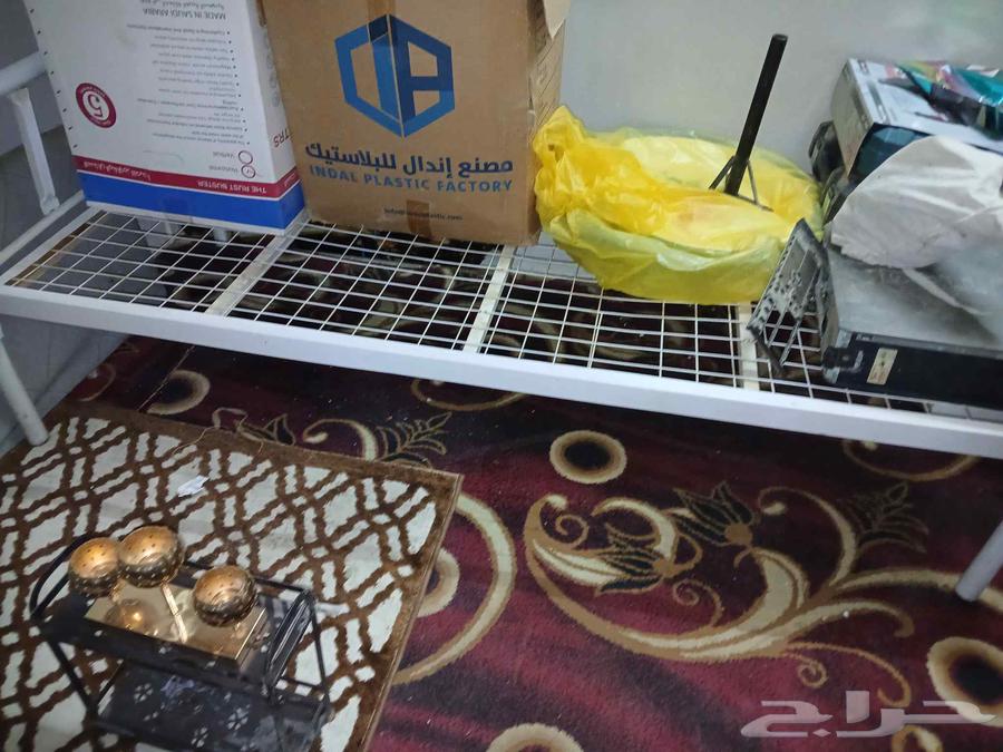 2 سرير بحاله ممتازه سعر الواحد 70 ريال64598733685507111