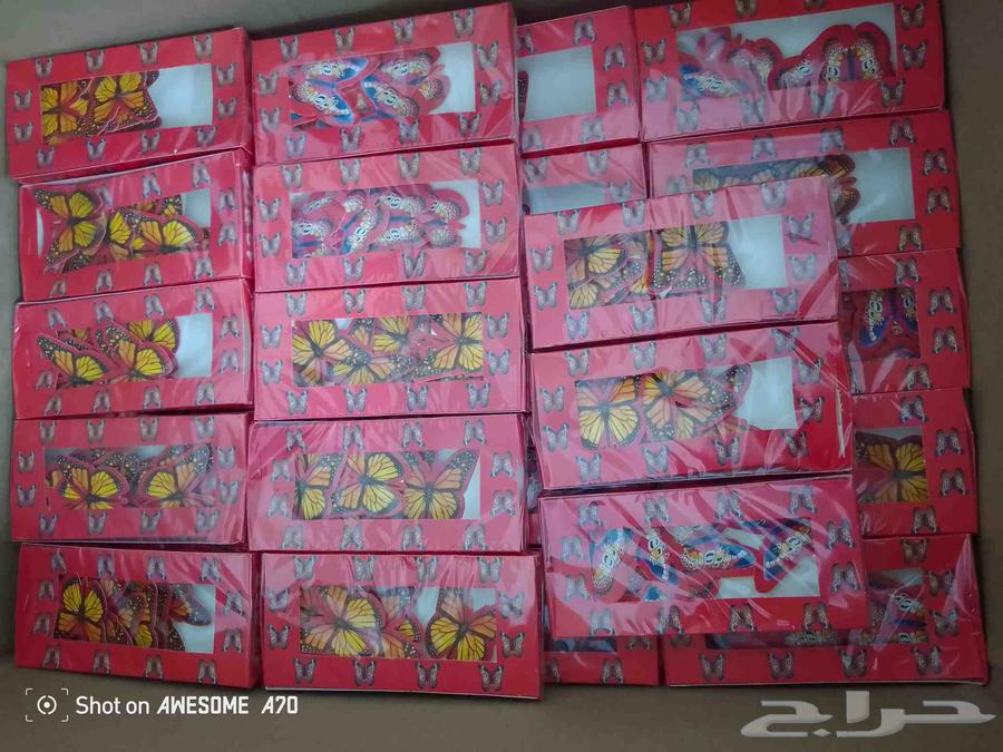 Obedient fireworks, sentence and Qatai64598203571073113