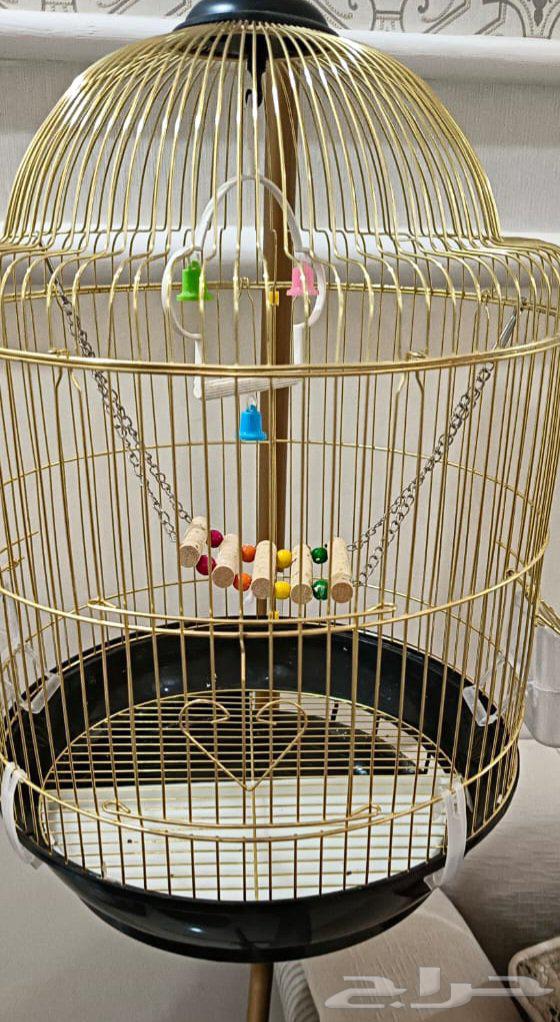 قفص طيور جديد مع اكسسوارات واستاند نظيف للبيع مستعجلل64598499196161111
