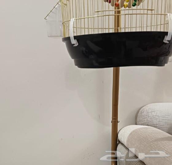 قفص طيور جديد مع اكسسوارات واستاند نظيف للبيع مستعجلل64598499196161112