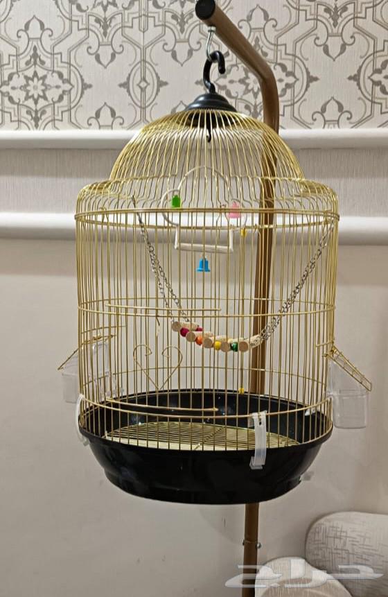 قفص طيور جديد مع اكسسوارات واستاند نظيف للبيع مستعجلل64598499196161110