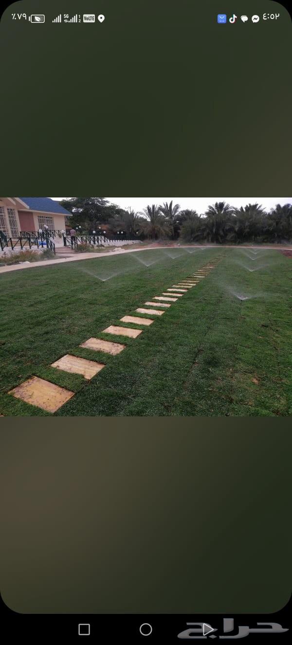 تركيب التيل الطبيعي64158157640835111