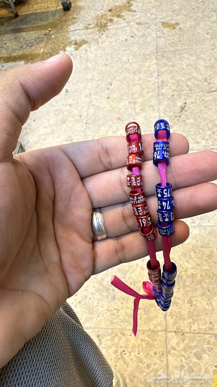 تخفيض لفترة محدودة حجول الحمام و العصافير64596907447041110