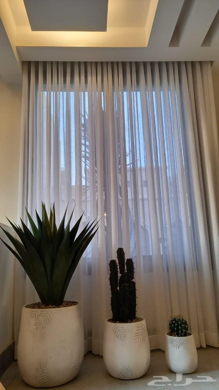 Curtains and Councils64158156766210112