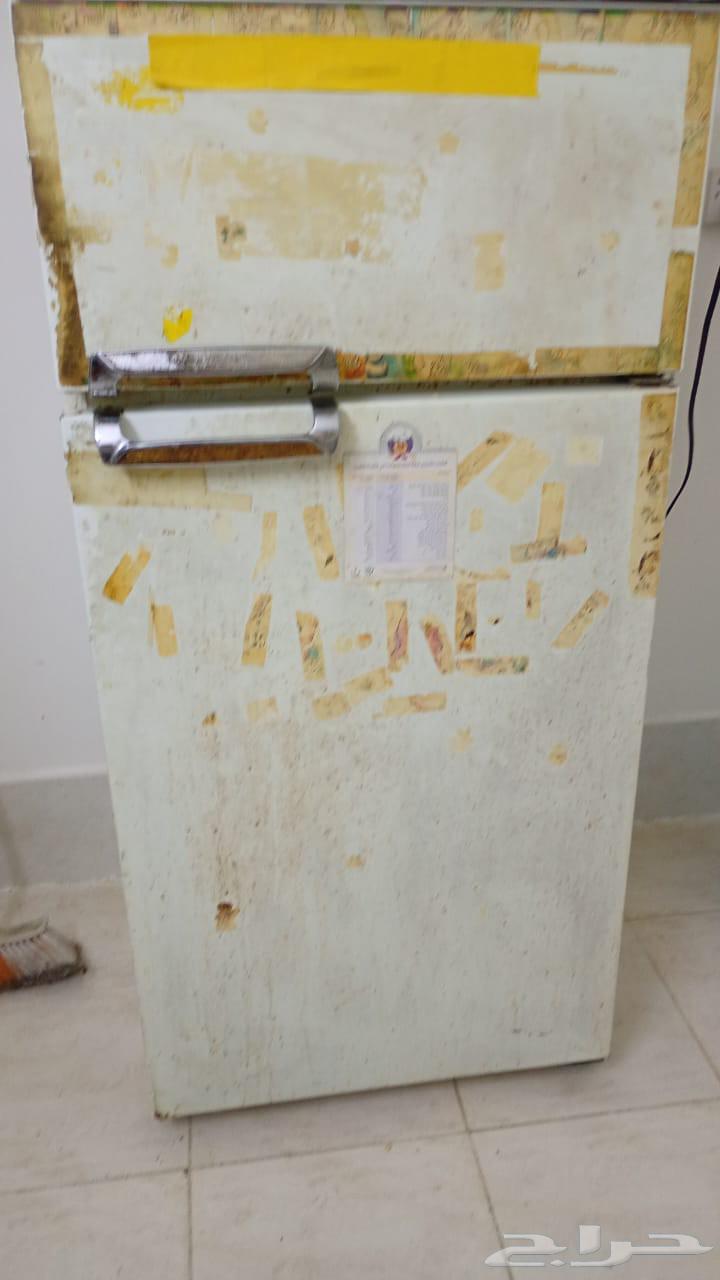 تبوك شارع الخمسين التلاجه 600 مكرويف 100 موكيف 50064596907376641112