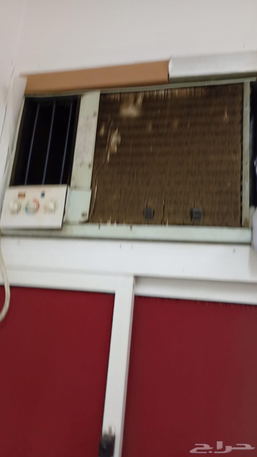 تبوك شارع الخمسين التلاجه 600 مكرويف 100 موكيف 50064596907376641110