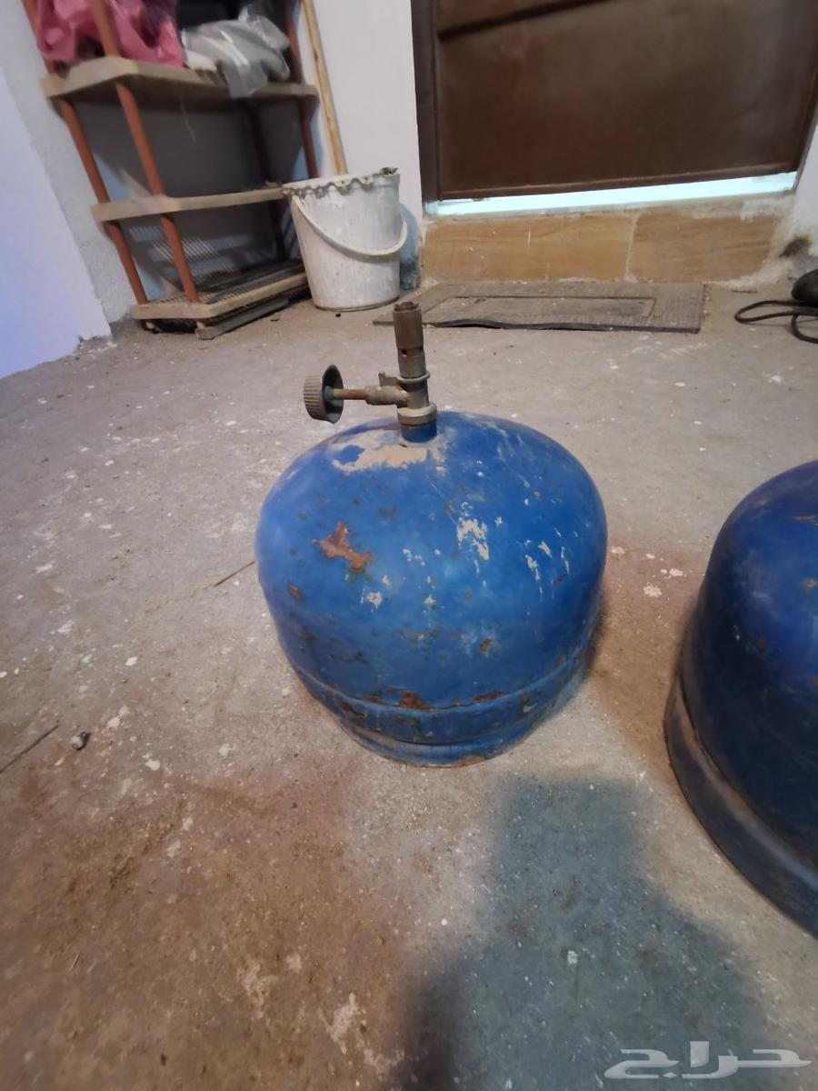 انبوبت غاز. صغير64597923966337111