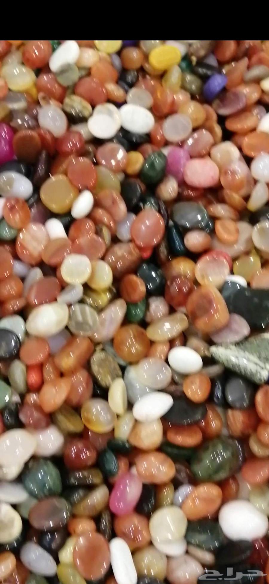 للبيع فصوص مشكله64607122582531110