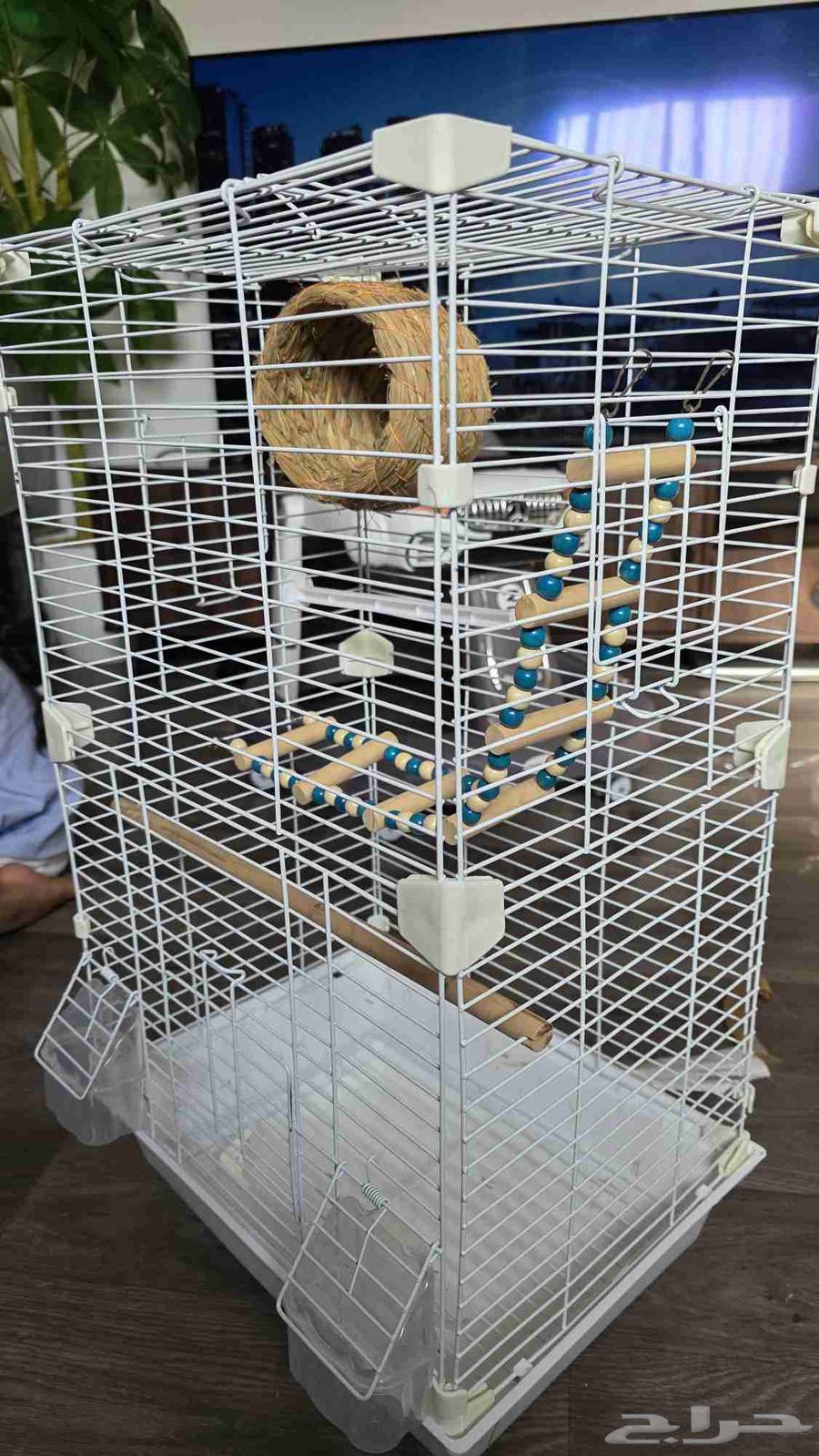 قفص عصافير و ببغاء64610917155585111