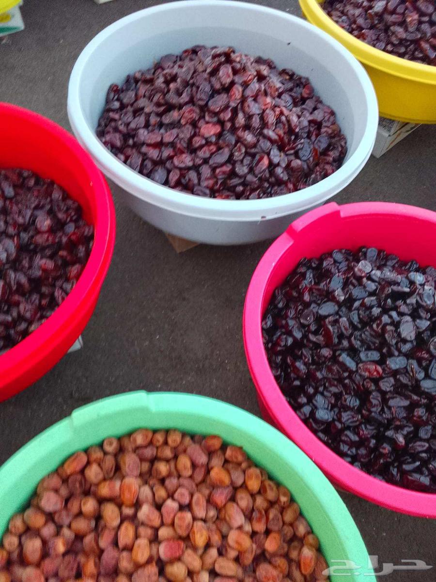 Ha'il Premium Dates64614695642626111