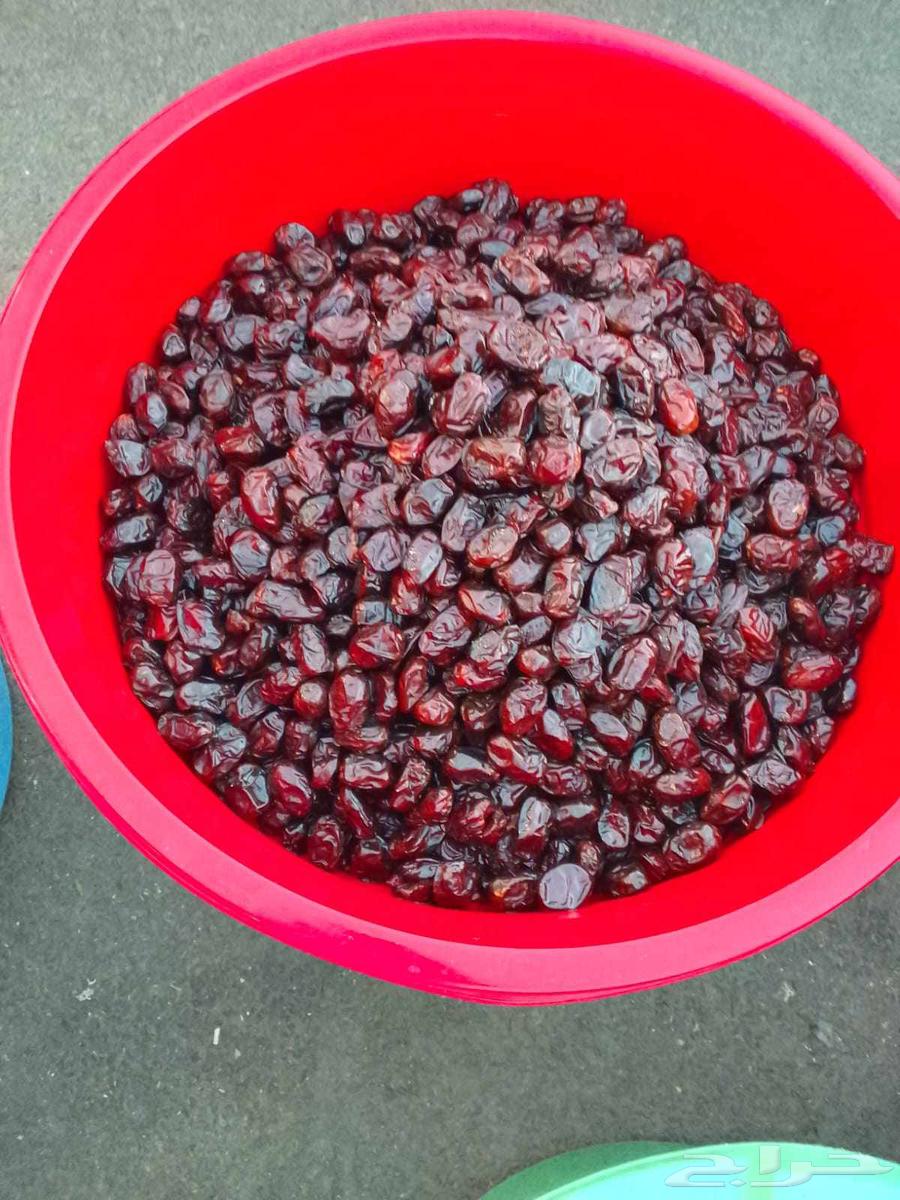 Ha'il Premium Dates64614695642626113