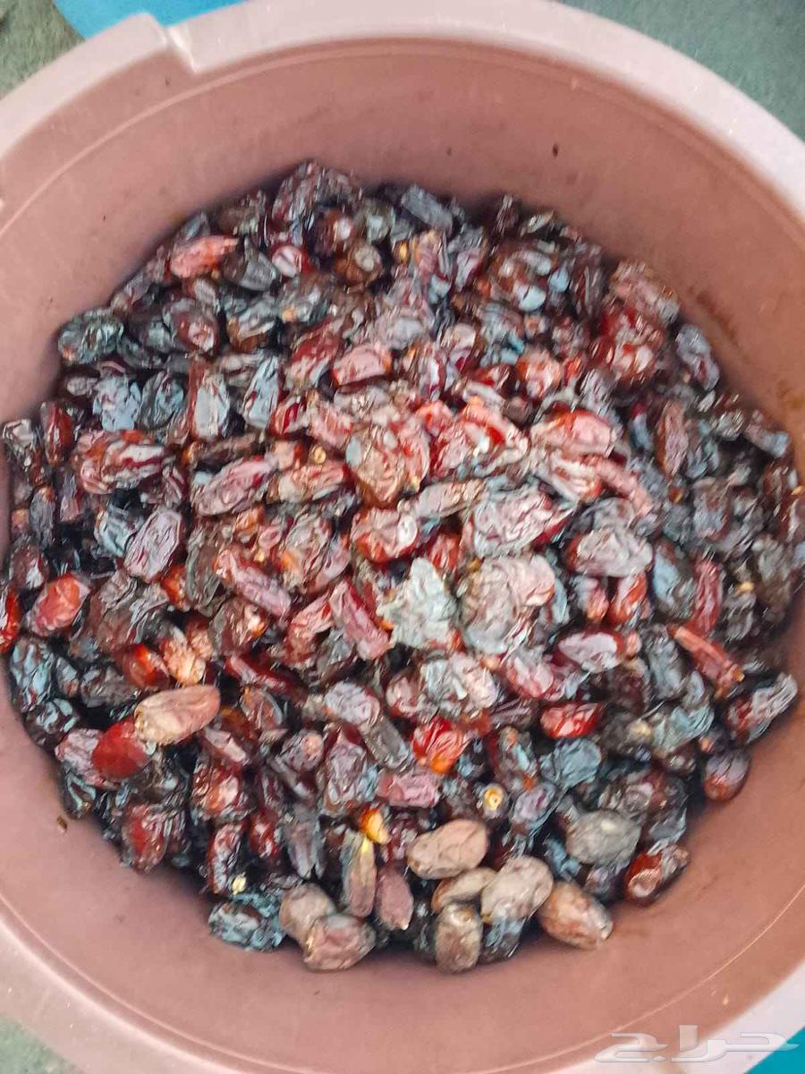 Ha'il Premium Dates64614695642626110