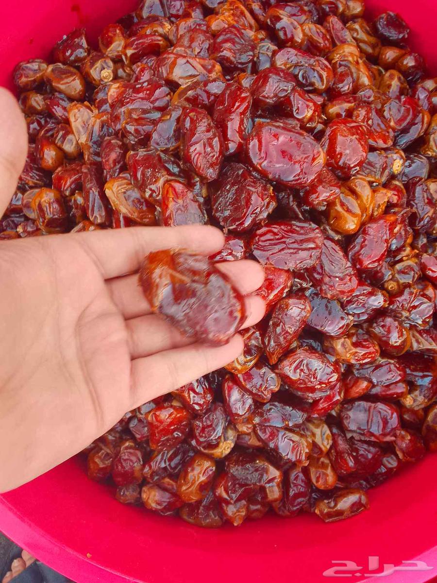 Ha'il Premium Dates64614571751683110