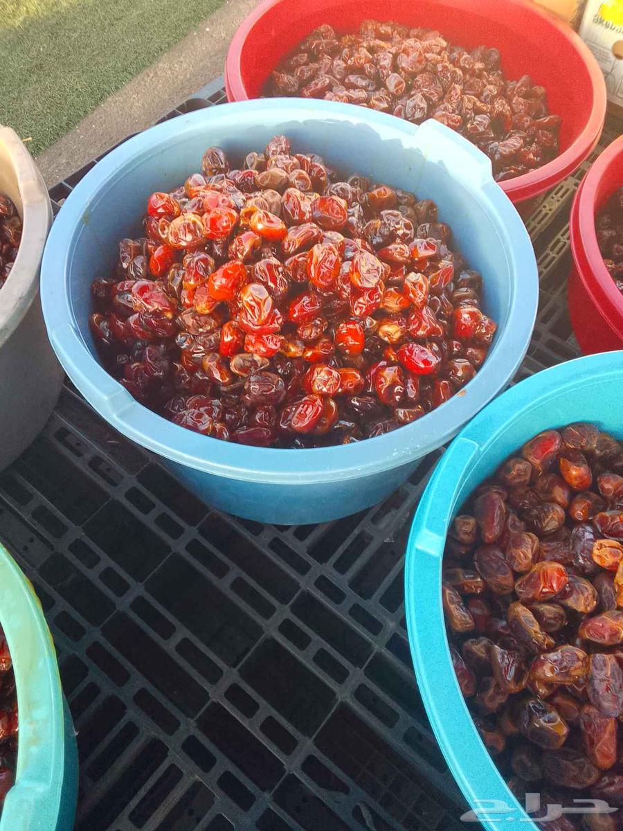 Ha'il Premium Dates64614571751683113