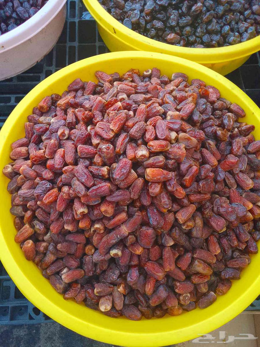Ha'il Premium Dates64614571751683112