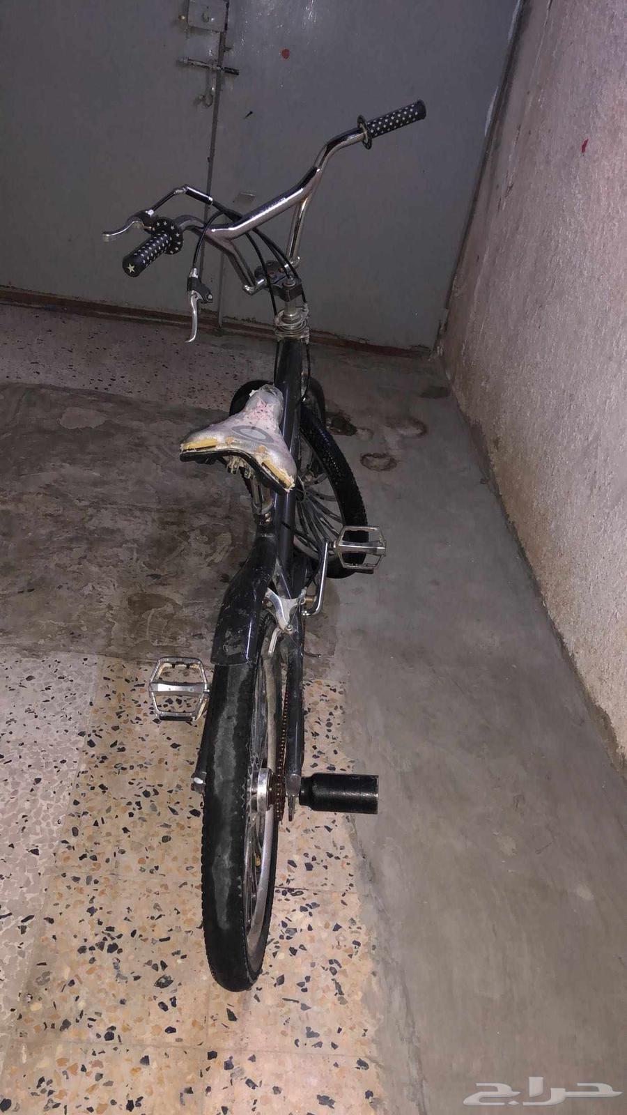 Cobra Bicycle, Size 2064615855921795111