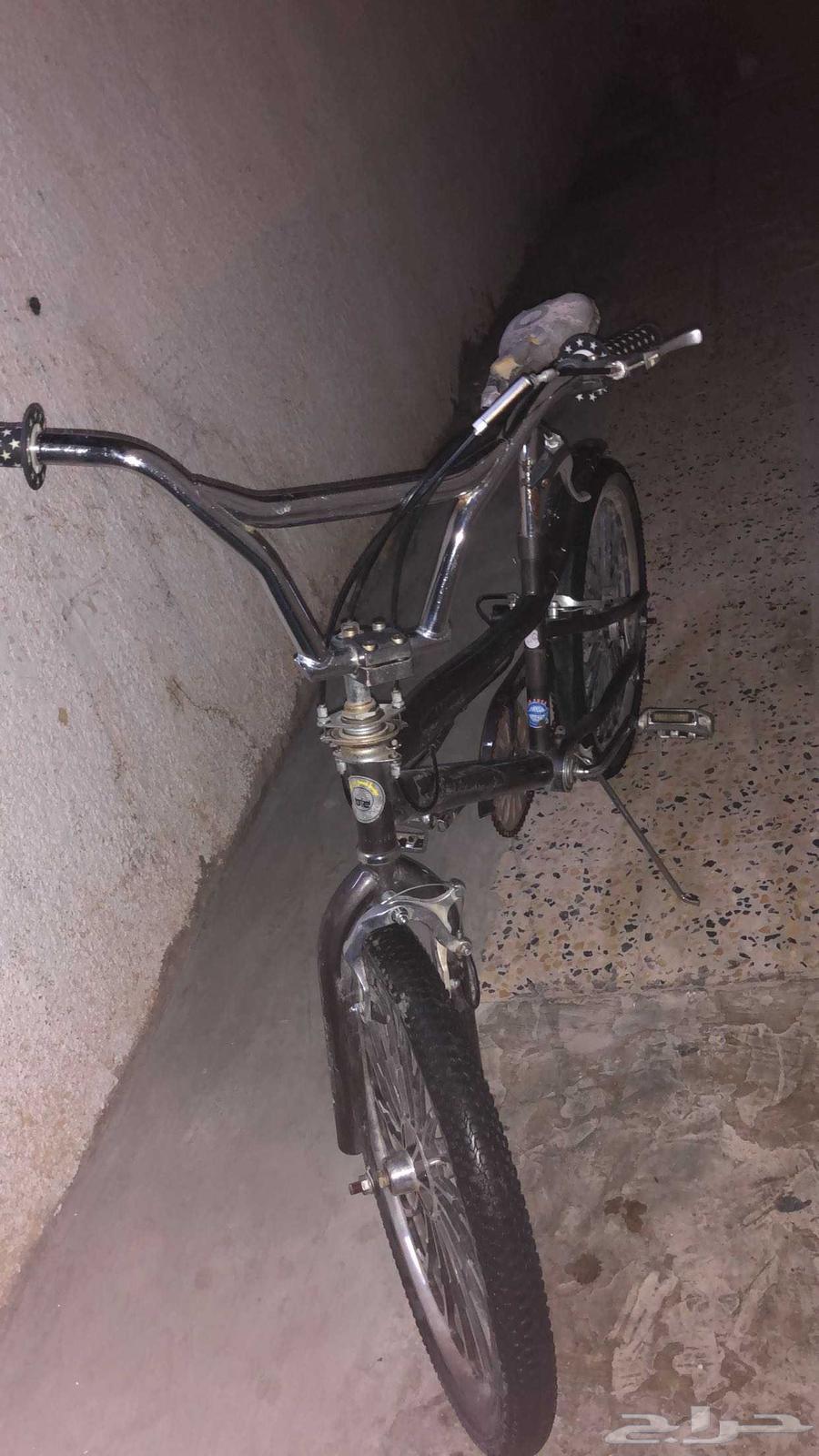 Cobra Bicycle, Size 2064615855921795110