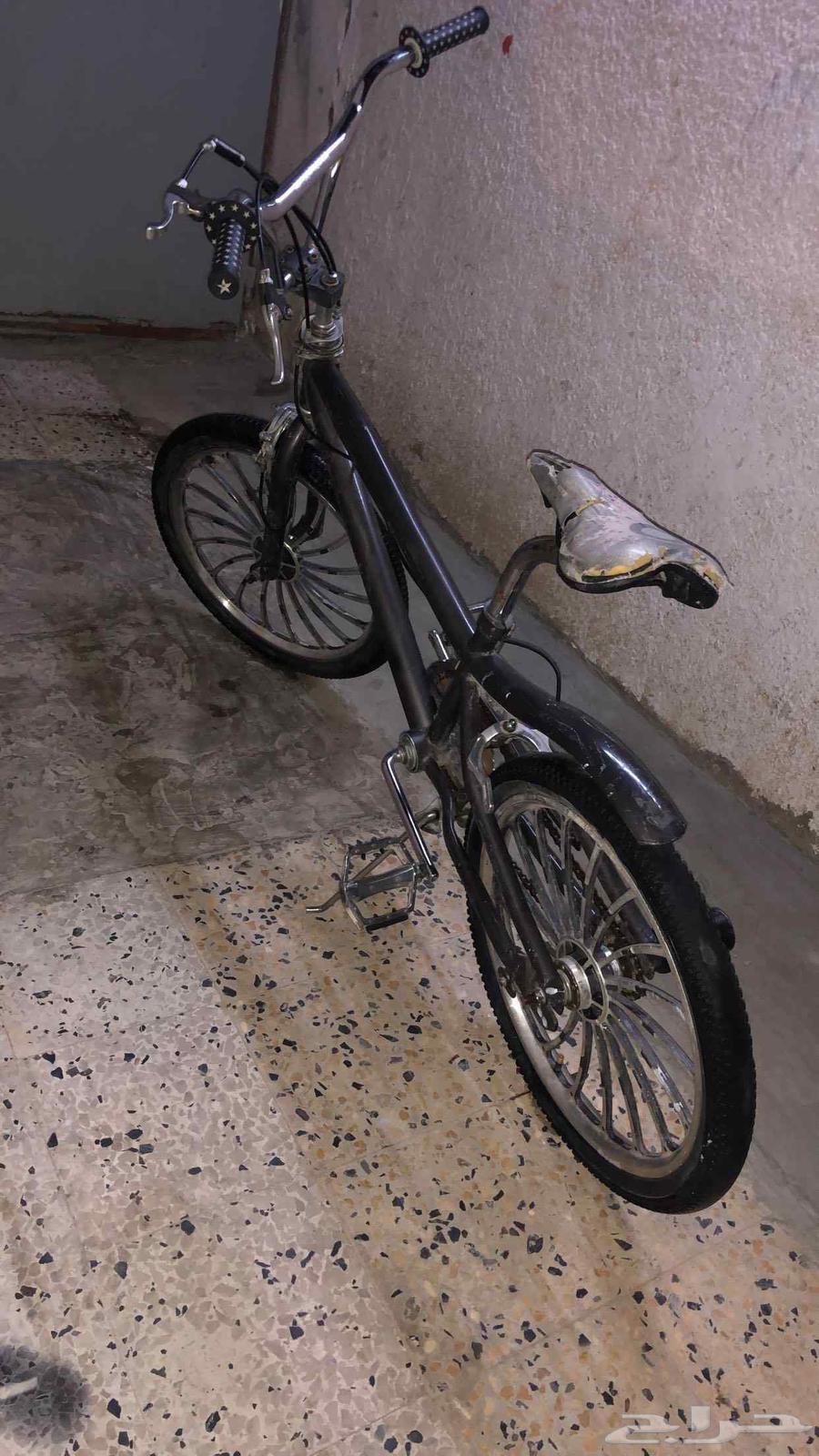 Cobra Bicycle, Size 2064615855921795113