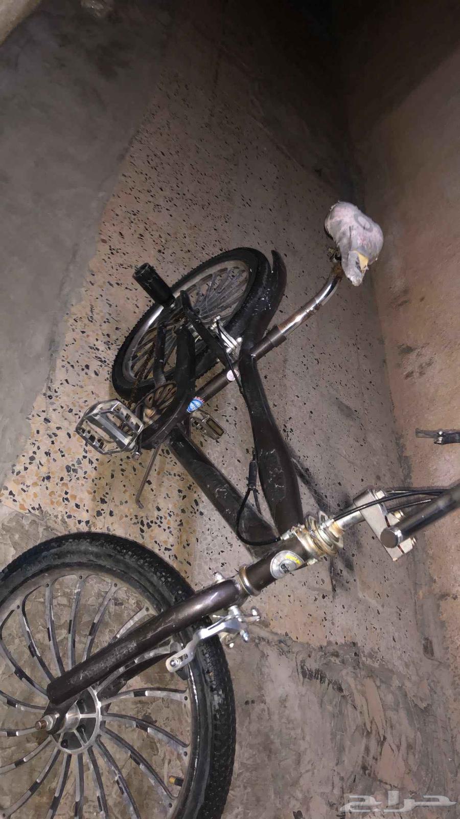 Cobra Bicycle, Size 2064615855921795112